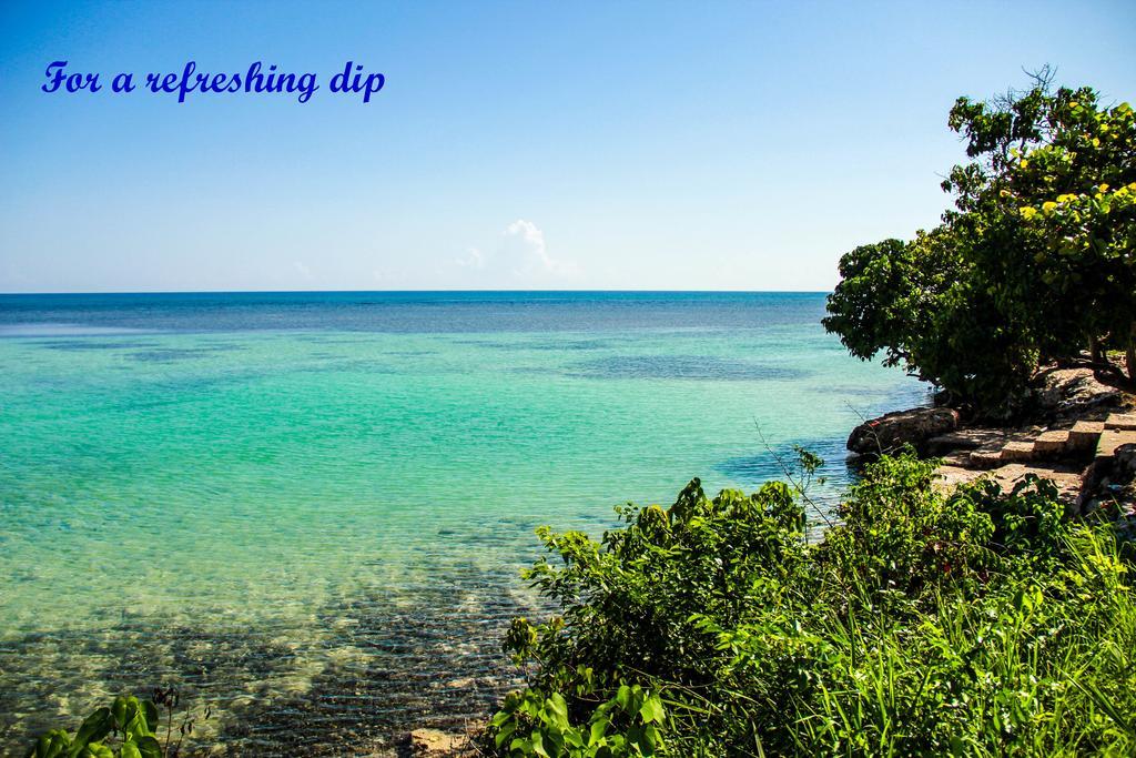Sunshine Lodge: Your Home Away From Home Montego Bay Eksteriør bilde
