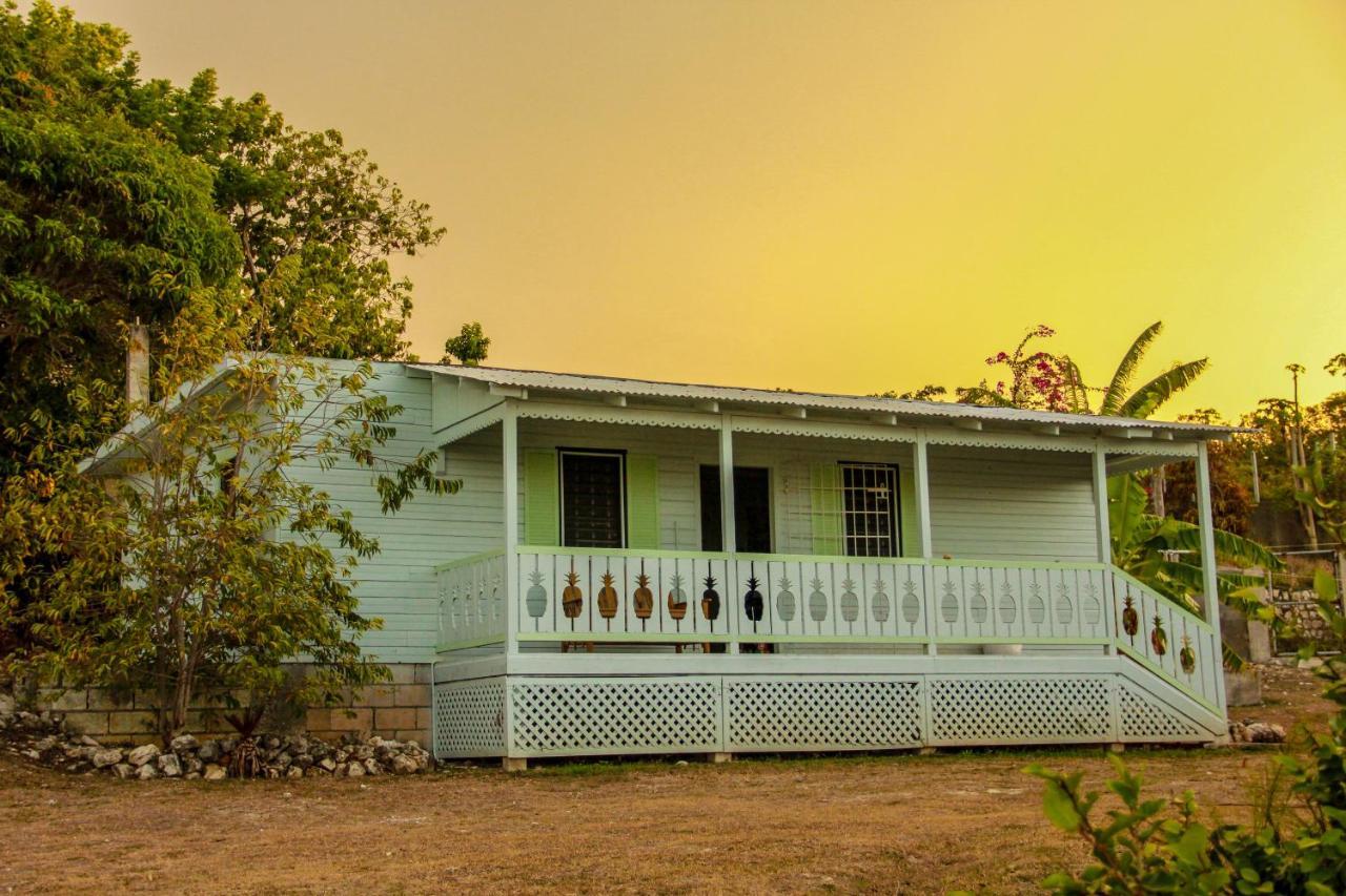 Sunshine Lodge: Your Home Away From Home Montego Bay Eksteriør bilde
