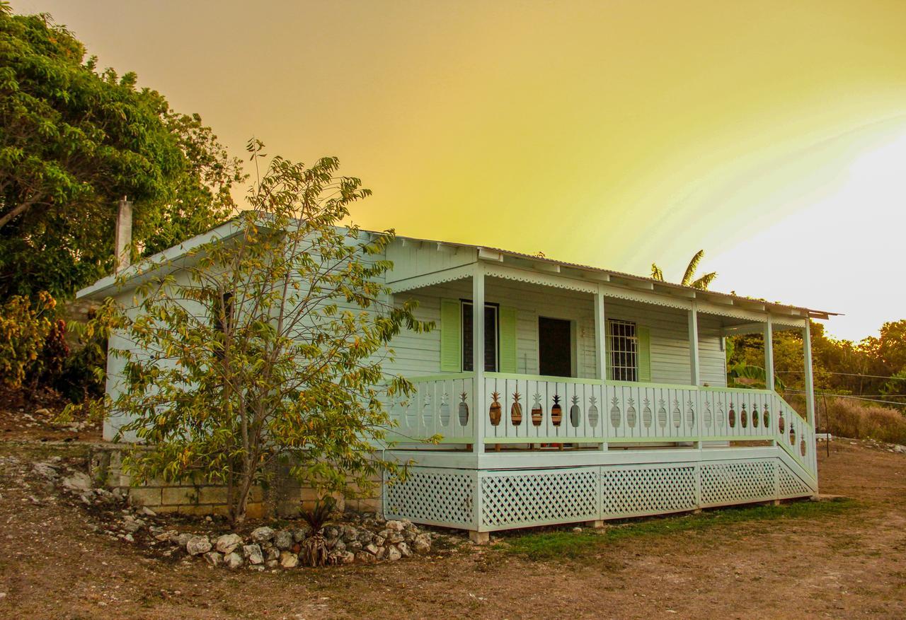 Sunshine Lodge: Your Home Away From Home Montego Bay Eksteriør bilde
