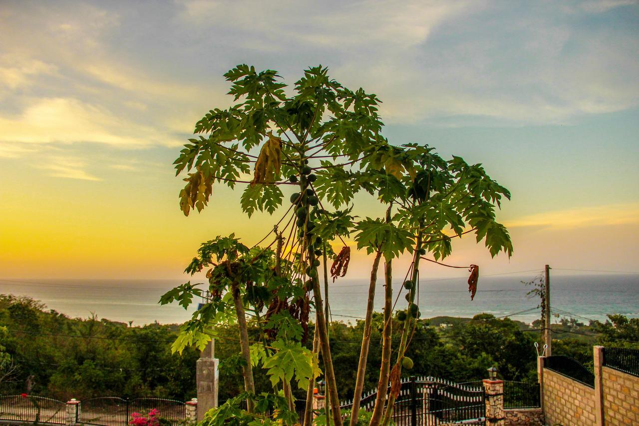 Sunshine Lodge: Your Home Away From Home Montego Bay Eksteriør bilde